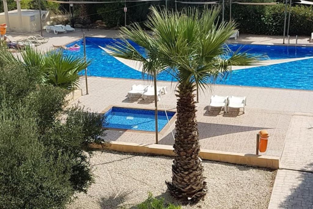 Lägenhet Nissi 7 Big Veranda And Free Wifi Ayia Napa